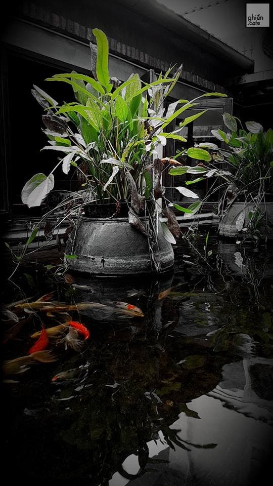 Mộc Hi-End Cafe - Hoa Mai - Image 2